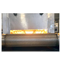 Conveyor-Oven